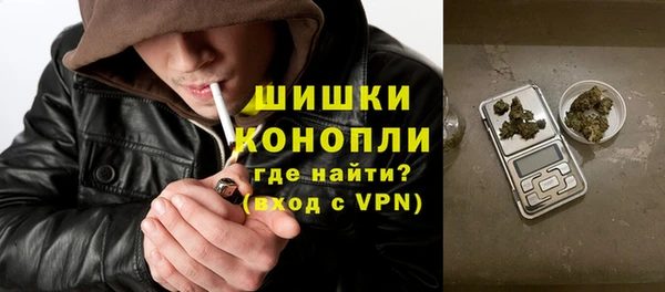 ALPHA PVP Козельск
