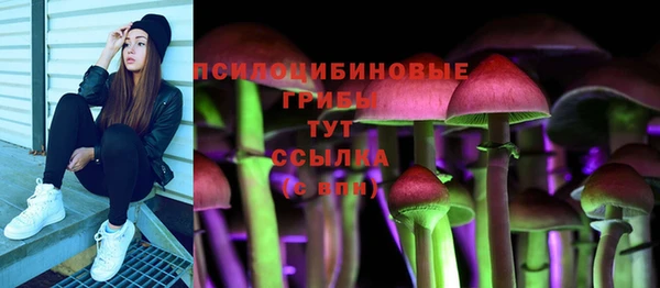 прущие крисы Козловка