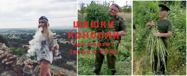 ALPHA PVP Козельск