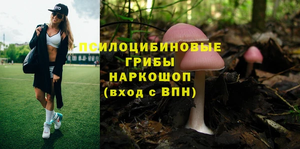 синтетический гашиш Кодинск