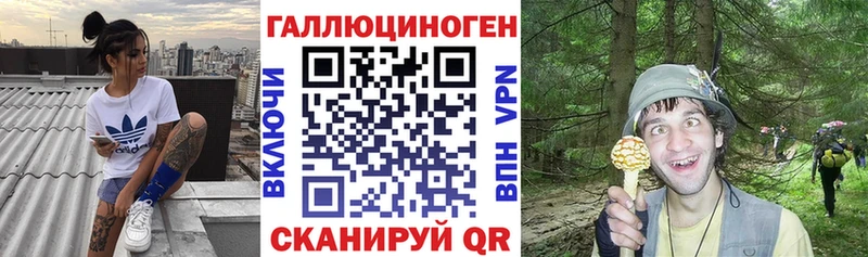 Галлюциногенные грибы Psilocybe  дарк нет как зайти  Костерёво  где найти  